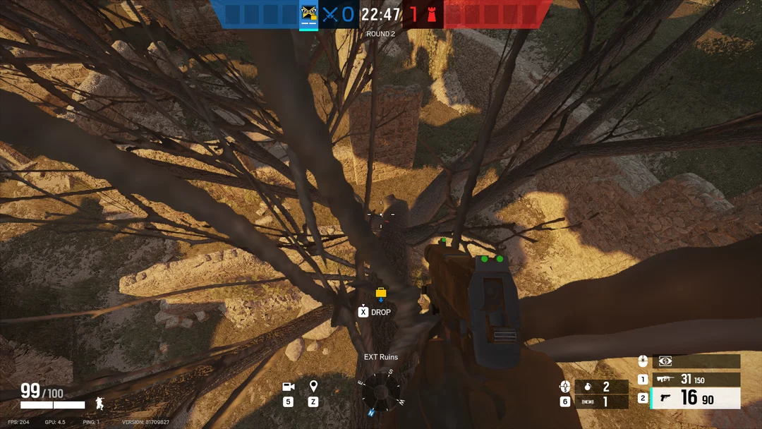 EXT Ruins West Tree